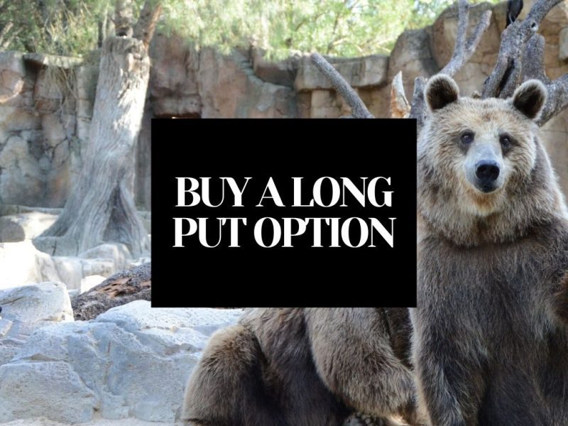 How To Buy A Long Put Option on 100 Shares: Step-by-Step Guide